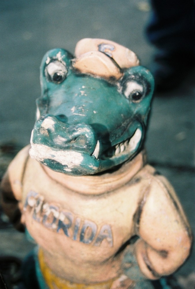 University of Florida Gators