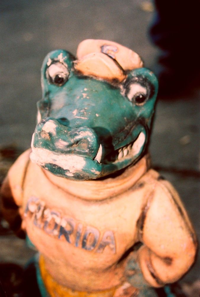 Albert - epitome of resoluteness 